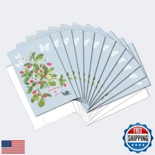 Tree-Free Greetings - Just Because Cards - Artful Designs - 12 Cards + White 