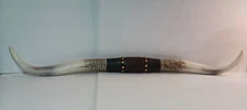 Western Americana Steer Large Rustic Studded Longhorn Wall Decor Resin 40.25" Lg