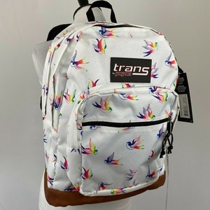jansport multicolor backpack