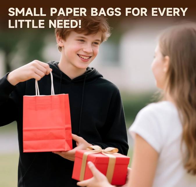 Gift Bags bulk with Handles lot Small Christmas Paper Shopping Kraft Birthday 24