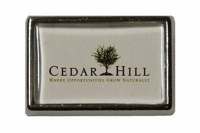 Pin Cedar Hill Texas Anstecknadel Fahne Flagge