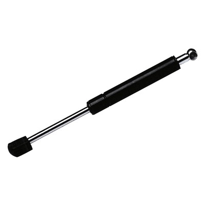 For Pontiac Vibe 2003-2008 StrongArm Liftgate Lift Support