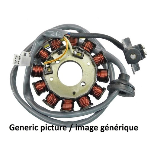 Stator Tecnium-Honda vfr800 pour Moto Pièces de Rechange Accessoires Pièce