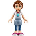 Emily Jones Elves LEGO (R) Building Toys