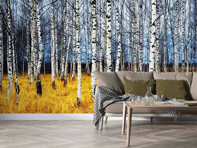 3D Birch Forest Wallpaper Wall Mural Removable Self-adhesive 990