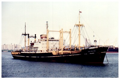 Great Welfare General Cargo Ship (1952) Photograph Vintage 4x6'' IMO 5394872