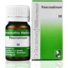 dr.Reckeweg Germany Pancreatinum 3x,20g Free Shipping