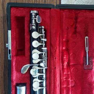 Black & Silver Piccolo Instrument with Case