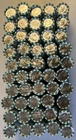 50 Rolls Box 2025-D Denver Roosevelt Dimes Uncirculated Loomis $250 Face