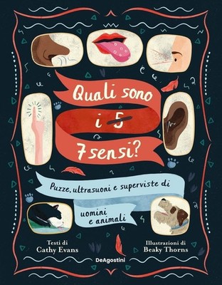 Neues Buch - Evans Cathy - Was sind die 5-7 Sinne? Puzzles, Ultraschall Und Supervis