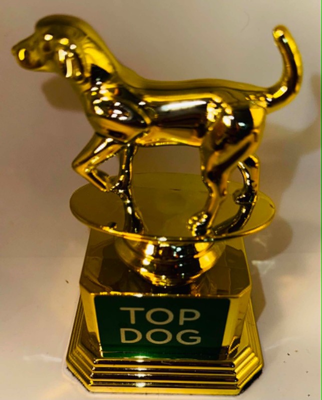 Original Spec Top Dog Trophy Hound Dog Gold Dog Show Award Decorative Object
