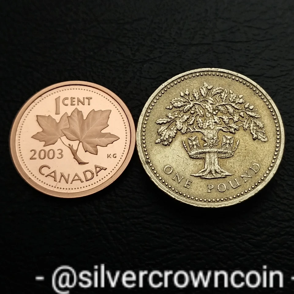 Great Britain 🇬🇧 UK 1 Pound 1992. KM#948. One Dollar coin. Oak Tree. DECUS. - Image 4 of 4