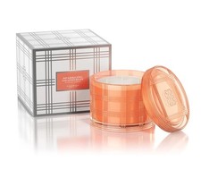 & Co 4-Wick Sparkling Grapefruit Specialty Candle with Gift Box Notes of Grap...