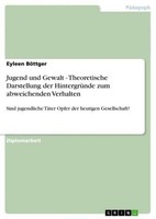 Jugend Und Gewalt - Theoretische Darstellung Der HintergrüNde Zum Abweichenden V