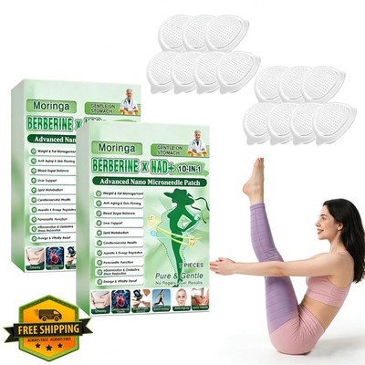 POSOJPIP Moringa Berberine Patches 2 Boxes Nano Microdarts Herbal