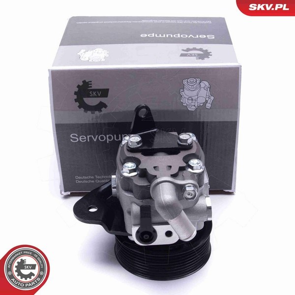 Esen SKV Servopumpe Hydraulisch Passend FüR Land Rover Range | 10SKV310-image
