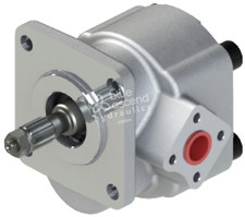 Pompa idraulica per Iseki TS 3110 135CFY GP135CFY GPH135CFY KY 8X09