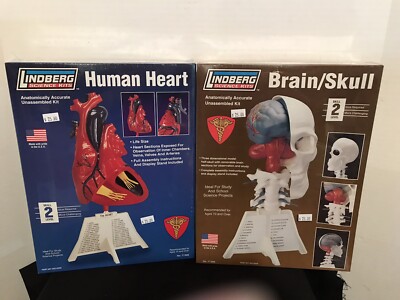 SET OF 2 LINDBERG ANATOMY SCIENCE KITS- BRAIN/SKULL & HUMAN HEART