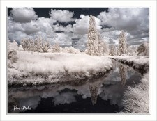Converted Infrared IR 720nm Panasonic Lumix DMC-G5 Camera 8GB SD Card 123