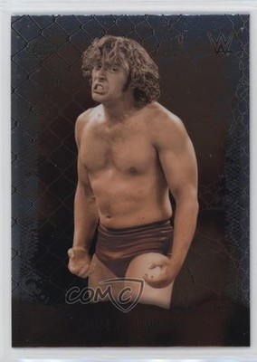 2025 Topps Chrome WWE x Cactus Jack Astroknights Charlie Dempsey #AOK-21 8x7