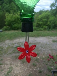 Hummingbird Feeder Tube Rr6b Set Of 6 Ebay