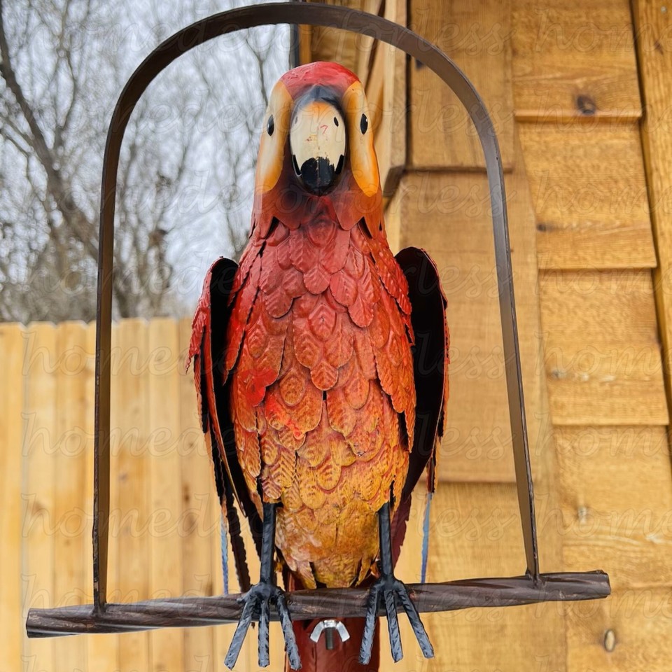 Visual Reference: Tropical Macaw Parrot Perched On Swing Hanging Metal Garden Sculpture