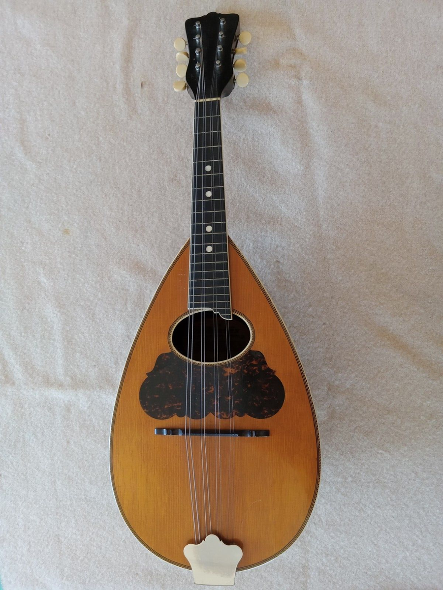 ワッシュバーンのマンドリン Antique Washburn Bowlback Mandolin W/CASE Circa 1910 | eBay