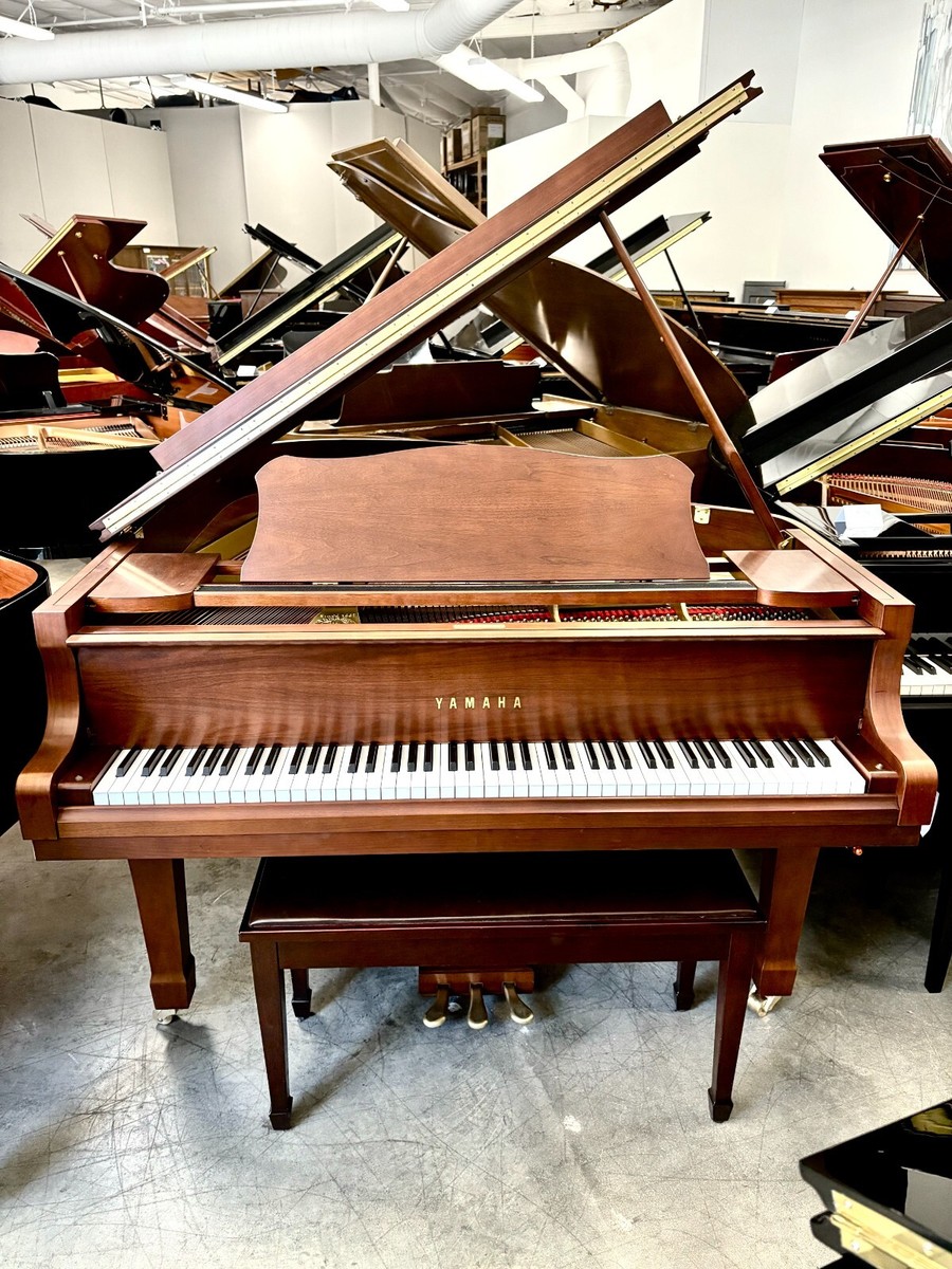Yamaha C-3 Grand Piano 6'1 Yamaha C-3 Grand Piano 6'1