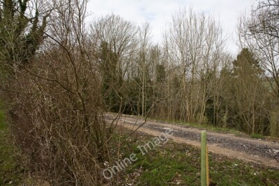 Foto 6x4 Spur im Hangers Wald Dean\/SU5619 Dieser schmale Streifen von c2010