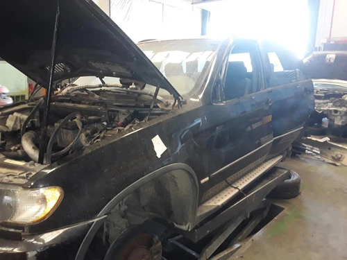 31316750359 Amortiguador Delantero Izquierdo para BMW SERIE X5 (E53) * 1460607 - Imagen 5 de 9