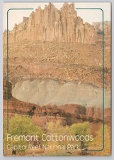 Fremont Cottonwoods Capitol Reef National Park Utah Postcard