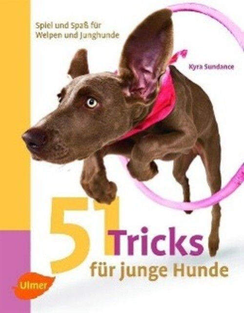Thumbnail - 51 Tricks Für Junge Hunde | Spiel Und Spaß Für Welpen Und Junghunde |