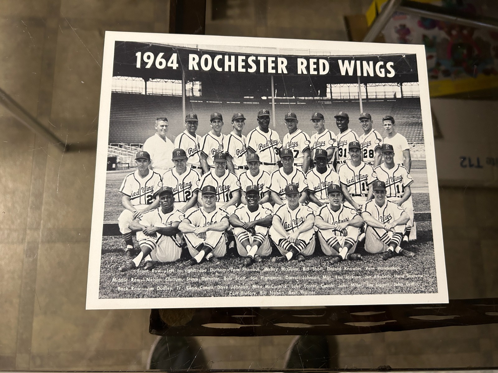original 1964 ROCHESTER RED WINGS baseball team 8 X 10 PHOTO..FREE ...