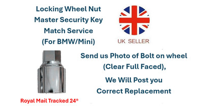 Radmutter Hauptsicherheitsschlüssel Match Service (für BMW/Mini)