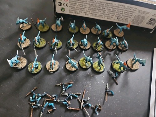 Warhammer Age of Sigmar Seraphon Echsenmenschen Skinks x 24 Ersatzteile & Reparaturen - Bild 2 von 13