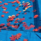 In The Swim Leaf Net Covers