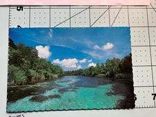 Vintage  Postcard -  Weeki Wachee Florida  #9921