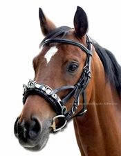 Leather Doma Cavesson With Or Without Mouthpiece - Cavesson For Tame