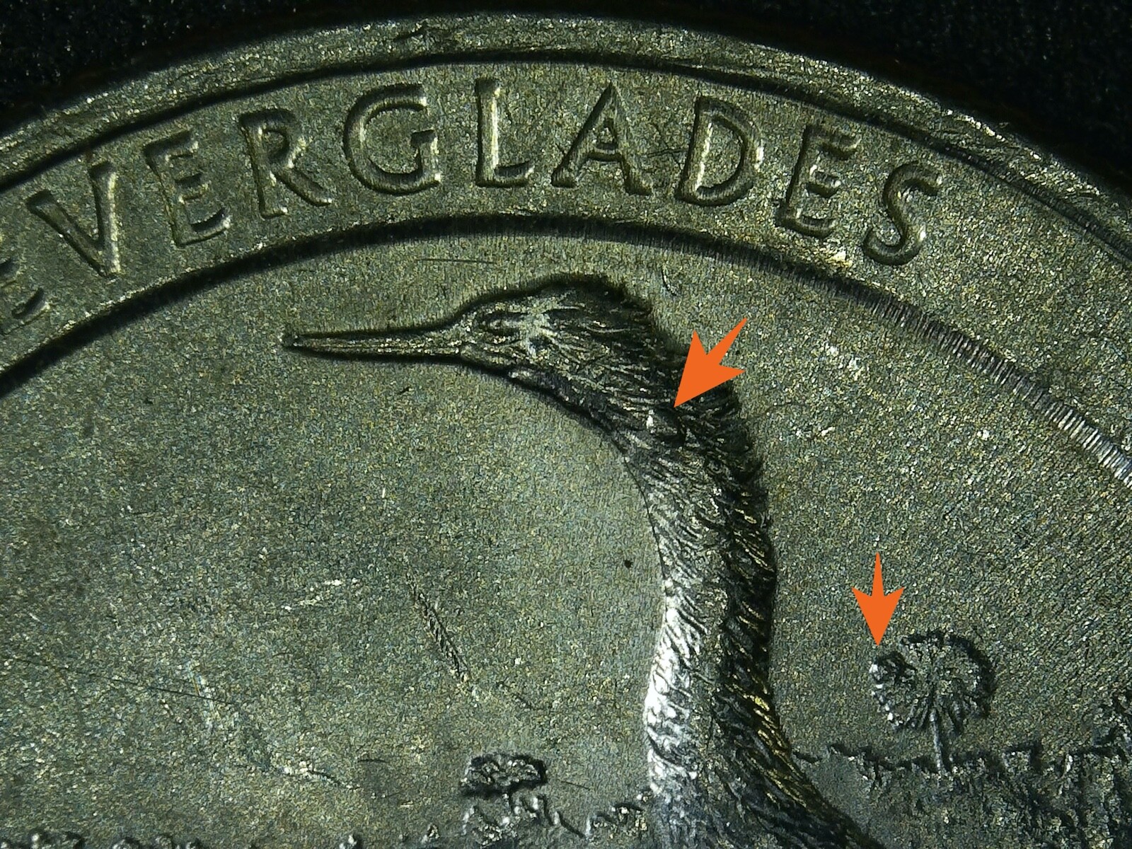 2014 (P) Florida Everglades US Quarter Error Multiple Die Chips eBay