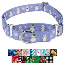 Country Brook Petz Martingale Dog Collar - Christmas Collection