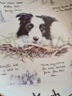 Picture 2 of 4