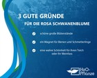 Bild 3 von 4