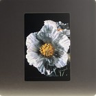 Bild 6 von 6