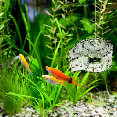 Schnecken gurt Planaria-Falle Schnecken fang box Aquarium Fisch Tank - Bild 6 von 6