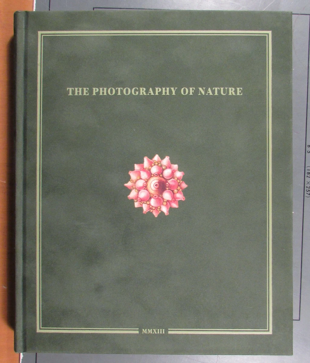 Art & Photography Catalogs, Exhibitions Antiquarian & Collectible