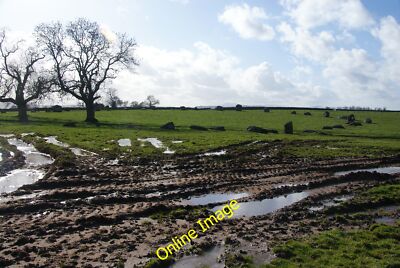 Foto 12x8 schlammige Spuren von Long Meg Glassonby Der Boden um Long Meg i c2014