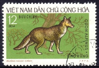 VIETNAM used 7/6
