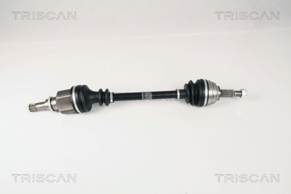 Triscan Antriebswelle 8540 25611 FüR Renault Megane 2 BM0 KM0 Kangoo FW0 LM0 KW0-image
