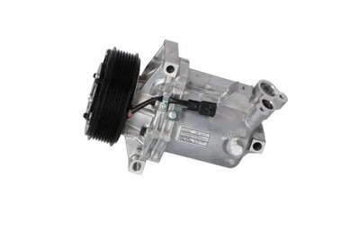Kompressor, Klimaanlage R 1234yf PAG 100 YF 320113 NRF für DACIA NISSAN RENAULT