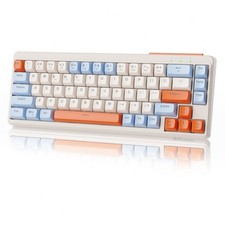 65 Wireless Membrane Gaming Keyboard Rainbow LED Backlit Silent for Win/Mac